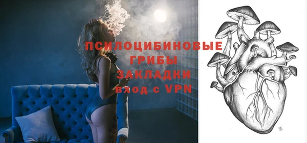индика Каменск-Шахтинский