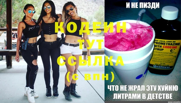 ALPHA PVP Каменка