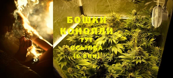 индика Каменск-Шахтинский