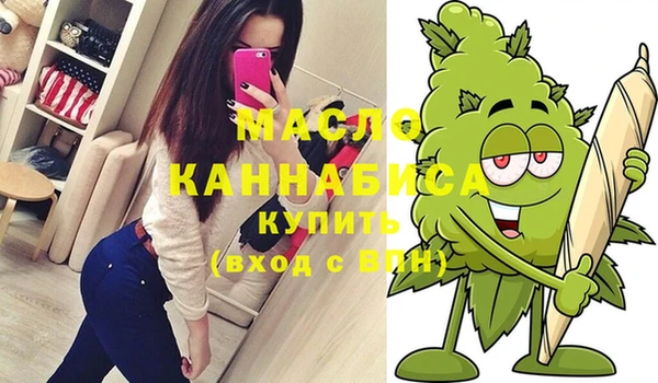 индика Каменск-Шахтинский