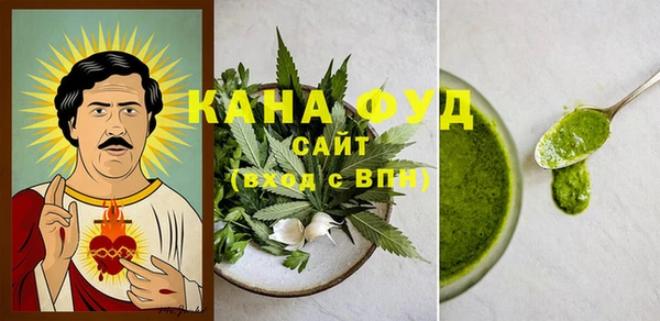 ALPHA PVP Каменка