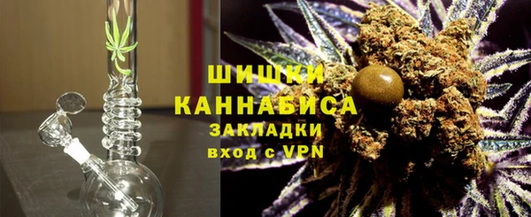 индика Каменск-Шахтинский