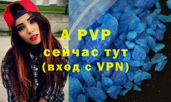 ALPHA PVP Каменка