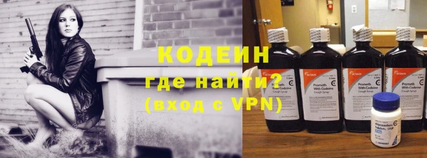 индика Каменск-Шахтинский