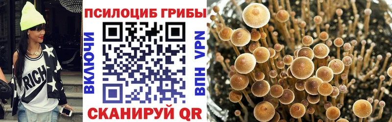 Галлюциногенные грибы мицелий  Называевск 
